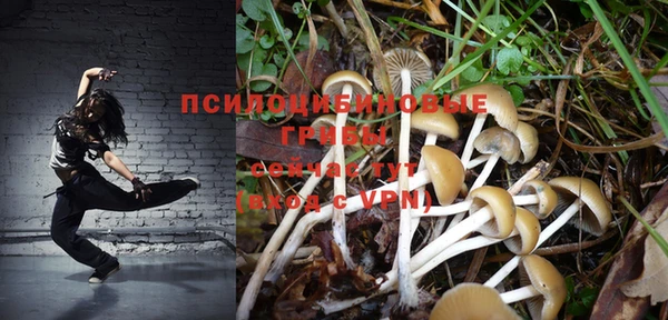 скорость Алексин